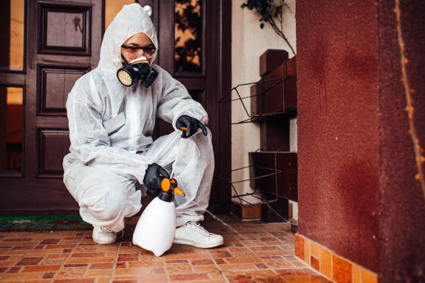 Attic and Crawl Space Rodent Treatment in Fort Hall