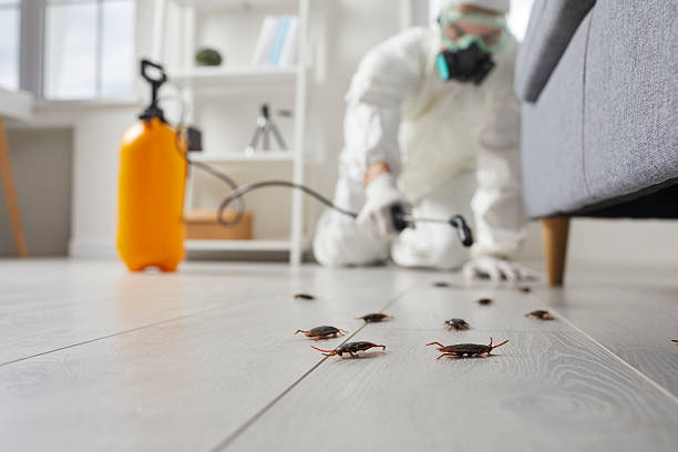 Commercial Rodent Management in Fort Hall
